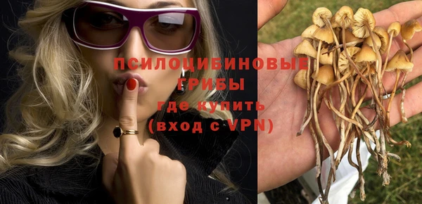 ПСИЛОЦИБИНОВЫЕ ГРИБЫ Новодвинск