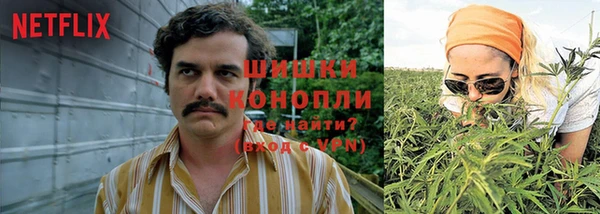 первитин Нея