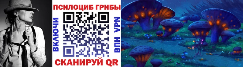 Галлюциногенные грибы Cubensis  Купить где  Козельск 